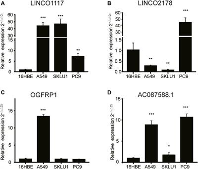 Development and validation of an endoplasmic reticulum stress long non-coding RNA signature for the prognosis and immune landscape prediction of patients with lung adenocarcinoma